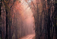 PG电子- 蔡志忠霸气语录 