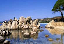 PG电子- 蔡志忠霸气语录