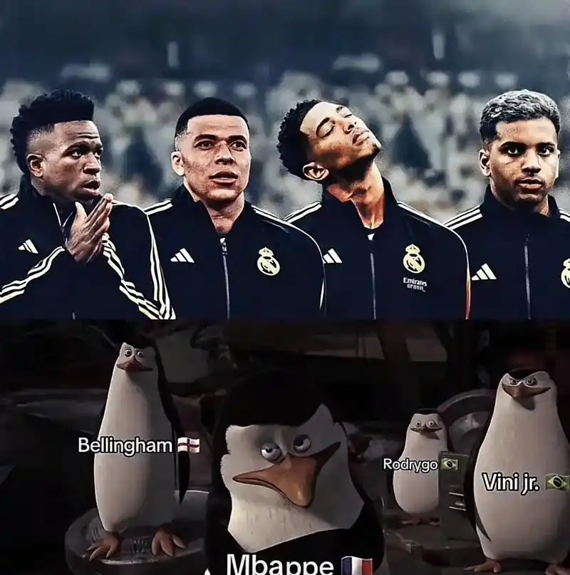 MAD观众热烈欢呼！，德罗巴迎来十赛季出色发挥观众掌声雷动的简单介绍